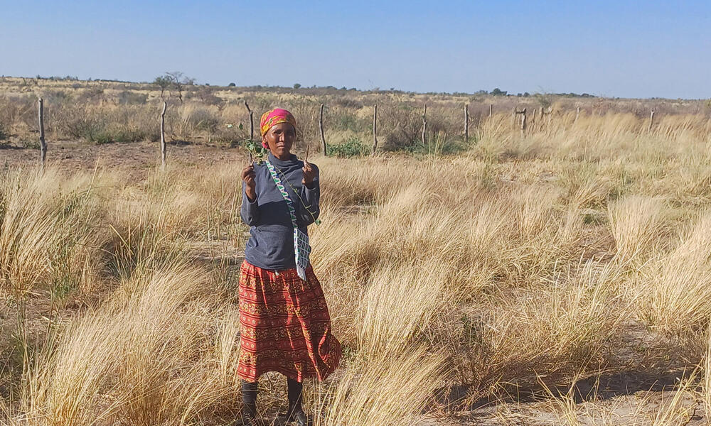 A woman stands in a field of dry grass