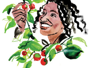 Illustration of woman admiring berries on tree