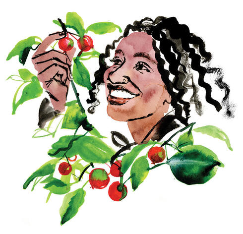 Illustration of woman admiring berries on tree