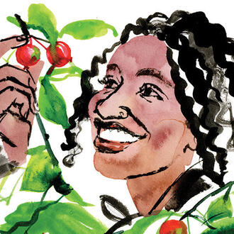 Illustration of woman admiring berries on tree