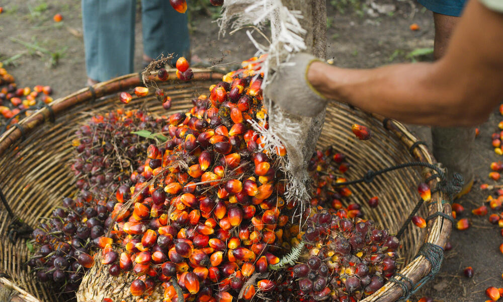 palm oil basket