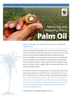 Measuring and Mitigating GHGs: Palm Oil Brochure
