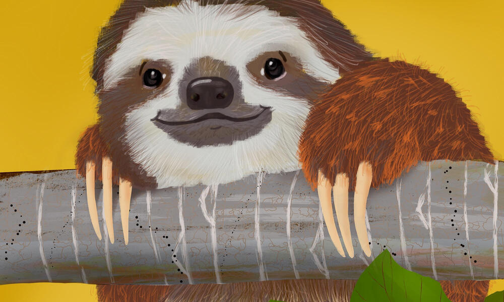 Painting of sloth