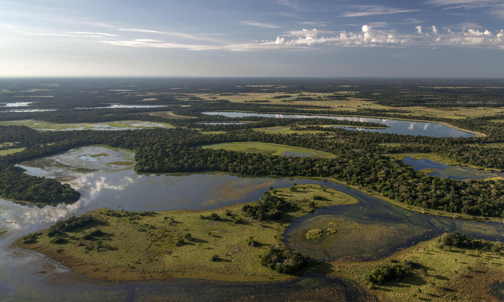 The Pantanal from above