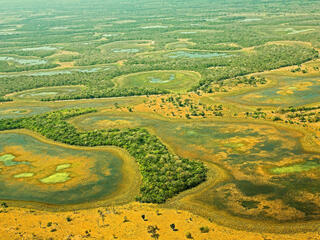 An aerial view of the Pantanal