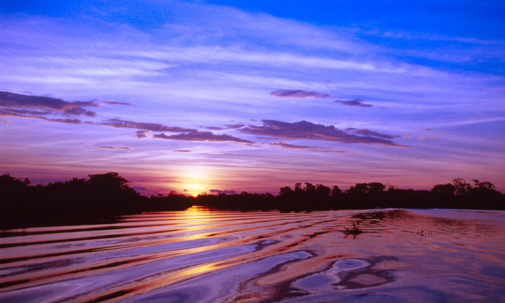 Pantanal at sunset