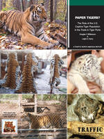 Paper Tigers:  The Role of the U.S. Captive Tiger Population in the Trade in Tiger Parts Brochure