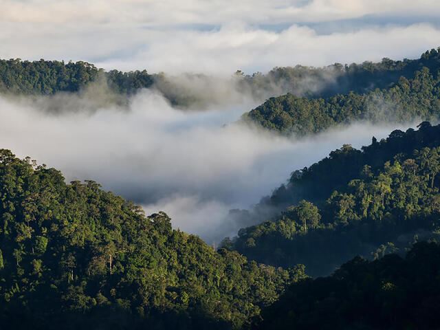 Landscape view of Kaeng Krachan National Park (Thailand) with fog