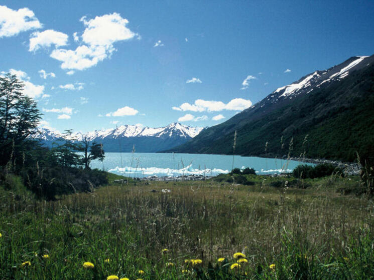 Regional location of the Patagonia Platform showing the most important