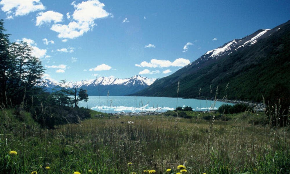 Patagonia region: the ONE place in this world