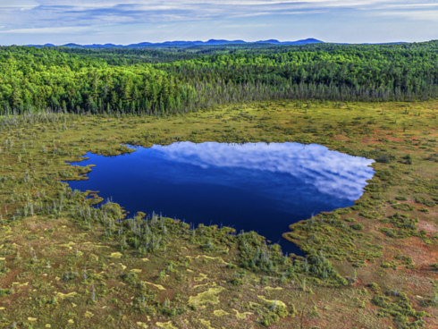 Peatland