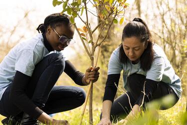 Two environmental activists, a Black AFAB and a Brown AFAB, plant seedlings together.