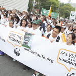Supporters at the People's Climate March in New York City on Sunday, September 21, 2014. 