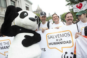 David Nesbum (WWF-UK), Terry Macko and Dave McCauley (WWF-US) participate in the People's Climate March in New York City on Sunday, September 21, 2014 