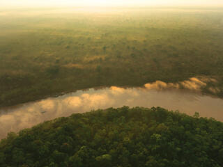 Aerial image of river in thick forest
