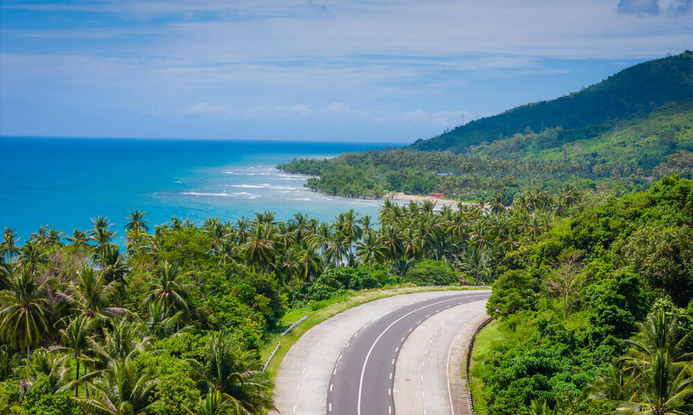 Landscape with ocean, palms, and an winding road