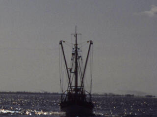Pirate Fishing 