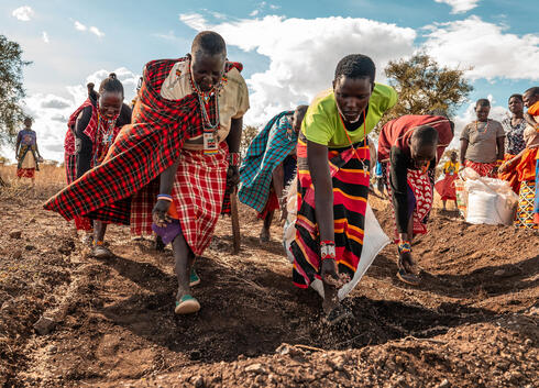 Women bent over, spreading seeds in field