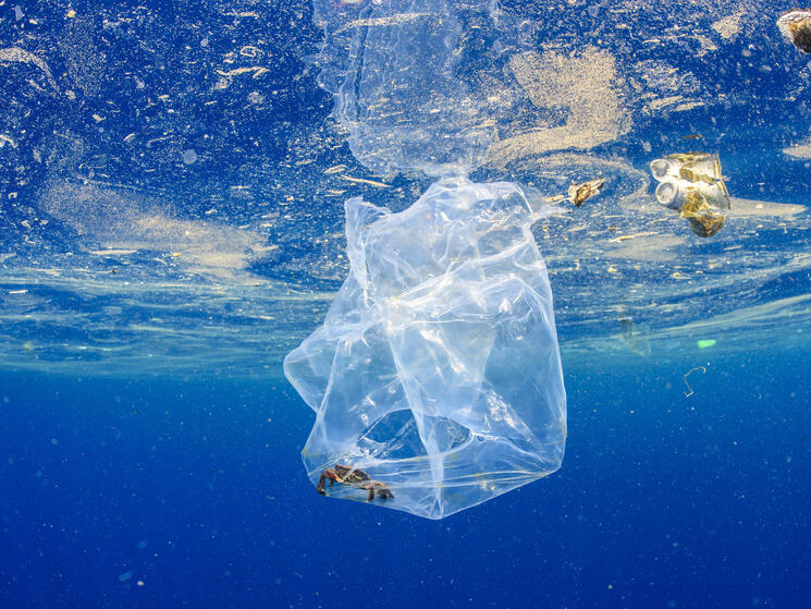 A plastic bag underwater