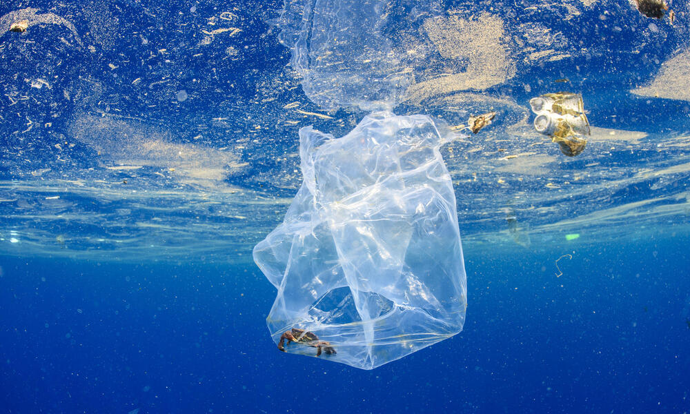 A plastic bag underwater