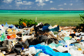 Plastic litter washed up on Watamu beach. Watamu, Kenya.
