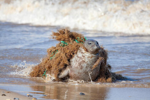 What are ghost nets?