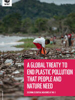 A Global Treaty to End Plastic Pollution that People and Nature Need Brochure