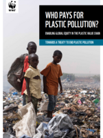 Who Pays for Plastic Pollution? Brochure