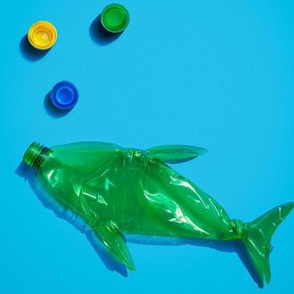 A fish made from discarded plastic bottles