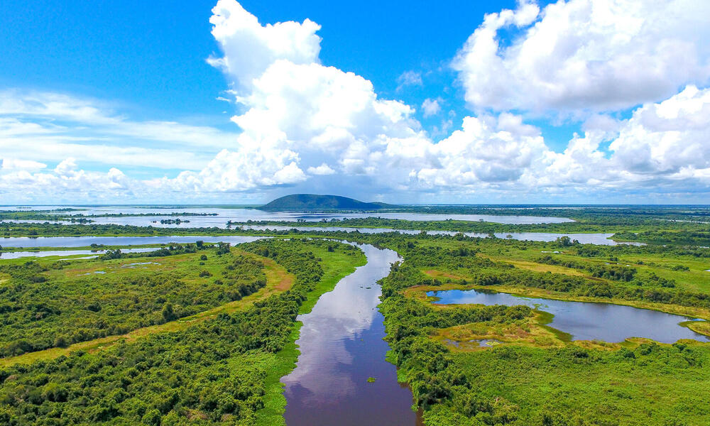 Mapping global rangelands to save vital ecosystems | Magazine Articles ...