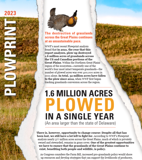 WWF's 2023 Plowprint Report