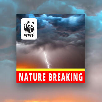 Clouds with the words Nature Breaking and the WWF panda logo