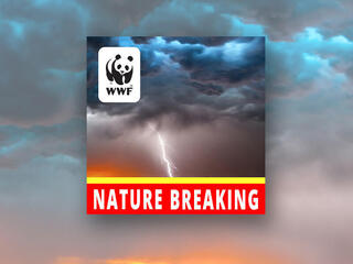 Clouds with the words Nature Breaking and the WWF panda logo