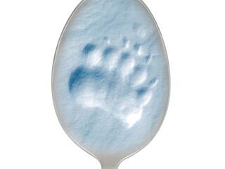 Polar Bear Footprint in a spoon