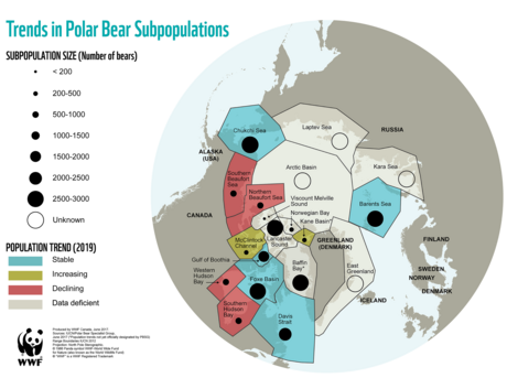 Arctic Animals' Movement Patterns are Shifting in Different Ways