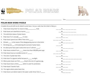 Polar Bear Word Puzzle