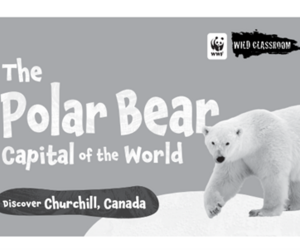 The Polar Bear Capital of the World (b&w)