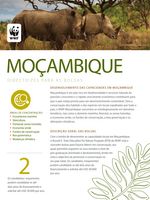 Portuguese Mozambique Guidelines 2017 Brochure