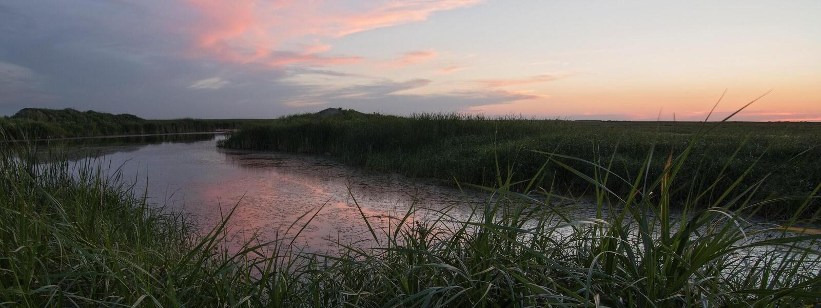 Grass in the foreground and water in the background with a colorful sky