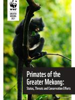 Primates of the Greater Mekong: Status, Threats, and Conservation Efforts Brochure