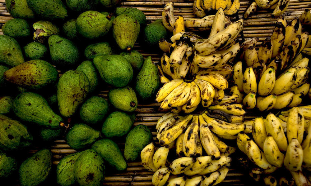 Avocados and bananas for sale