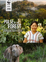 Pulse of the Forest: The State of The Greater Mekong’s Forests and the Everyday People Working to Protect Them Brochure