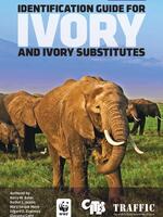 Identification Guide for Ivory and Ivory Substitutes Brochure