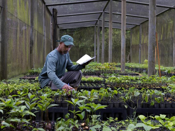 a man counts and records seedlings in a nursery