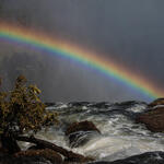 Rainbow over the Zambezi