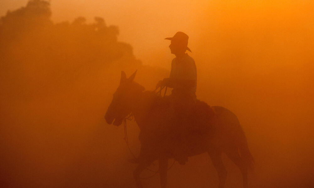 A rancher on a horse in the Pantanal