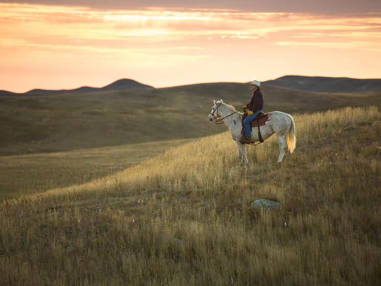 Rancher on his horse looking across the Northern Great Plains.