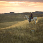 Rancher on his horse looking across the Northern Great Plains.