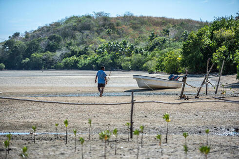 A villager on his way to spearfish. During high tide this area will be covered with seawater. Raviravi, Vanua Levu, Fiji