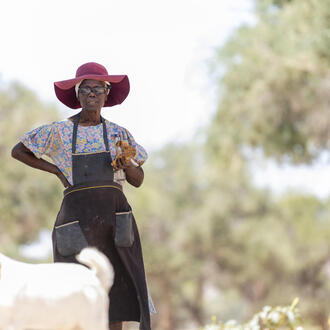 A woman stands in a field with goats in the foreground